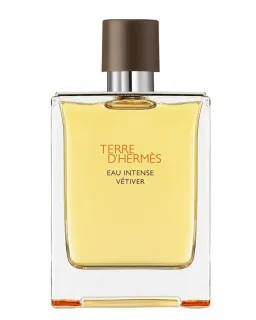 Hermès Terre d'Hermès Eau Intense Vetiver