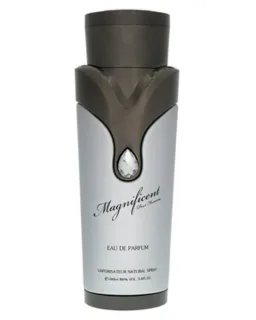 Armaf Magnificent Pour Homme EDP