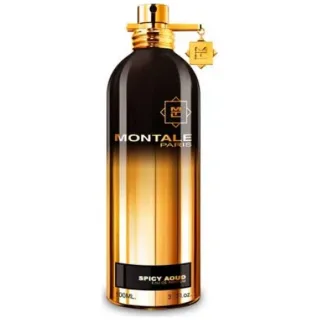 Montale Paris Spicy Aoud edp