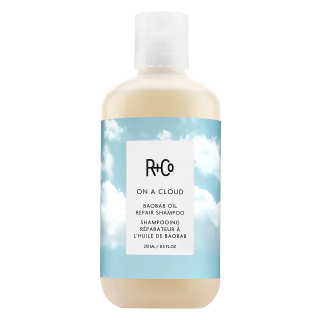 R+Co A Repair