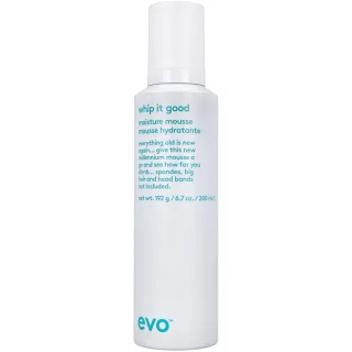 Evo Whip it Good Moisture Mousse
