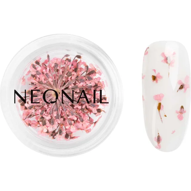 Neonail Dried Flowers