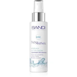 Bandi Mist for hair, smoothing, without rinsing