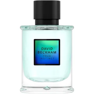 David Beckham True Instinct True Instinct Eau de Parfum For Men