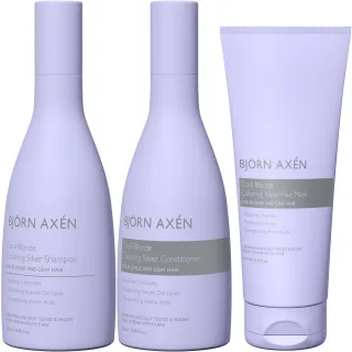 Björn Axén Repair Cool Blonde Coloring Silver Trio