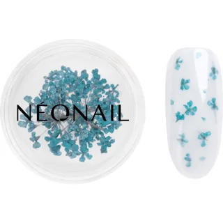 Neonail Dried flowers Turquoise