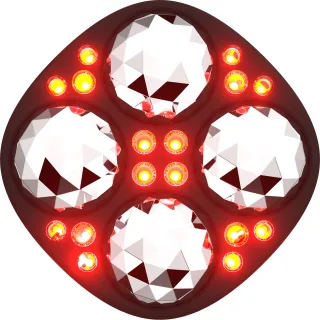 FAQ Swiss FAQ™ 411 Microcurrent Red LED Body Toning Device