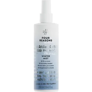 Four Reasons Winter Mist