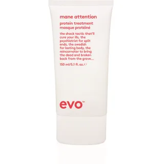 Evo Repair Mane Attention Protein Treatment
