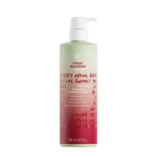 Four Reasons Summer Conditioner