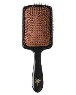 Fan Palm Wet Brush Big Star Paddle Str. L