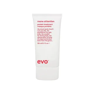 Evo Mane Attention Protein Treatment