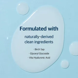 Round Lab Birch Juice Moisturizing Serum