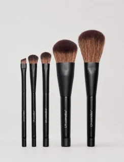 LH cosmetics On the go brush kit