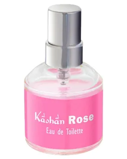 The Differnet Company Different Company Kashan Rose