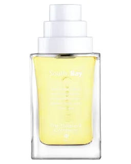 The Differnet Company Different Company South Bay EDT
