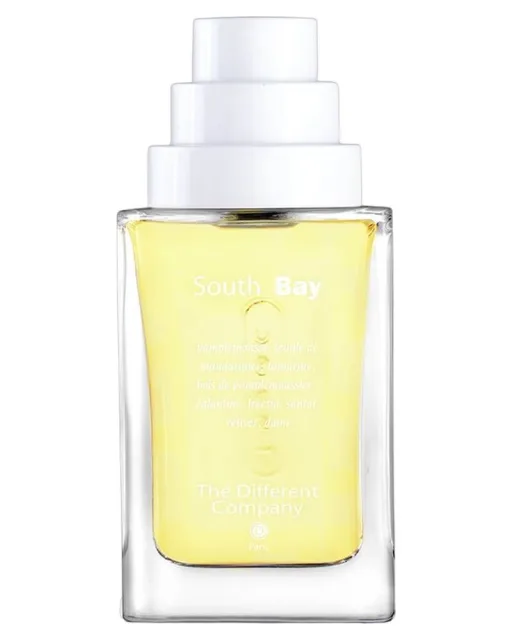 The Differnet Company Different Company South Bay EDT
