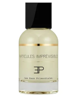 Les Eaux Primordiales Particules Imprévisibles EDP