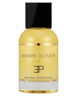 Les Eaux Primordiales Mémoire du Futur EDP