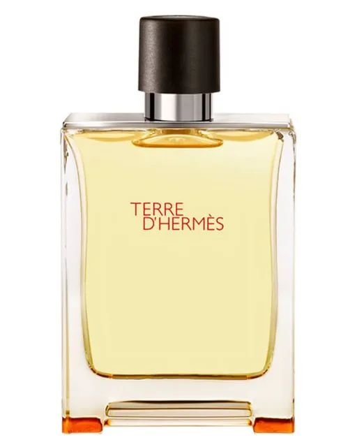 Hermès Terre d'Hermes EDT 100 ml