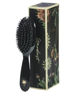 Fan Palm Hair Brush Small Stardust