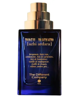 The Differnet Company Different Company Azhi Ardara EDP