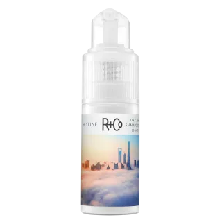 R+Co Skyline Dry Shampoo Powder