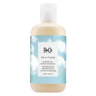 R+Co A Repair