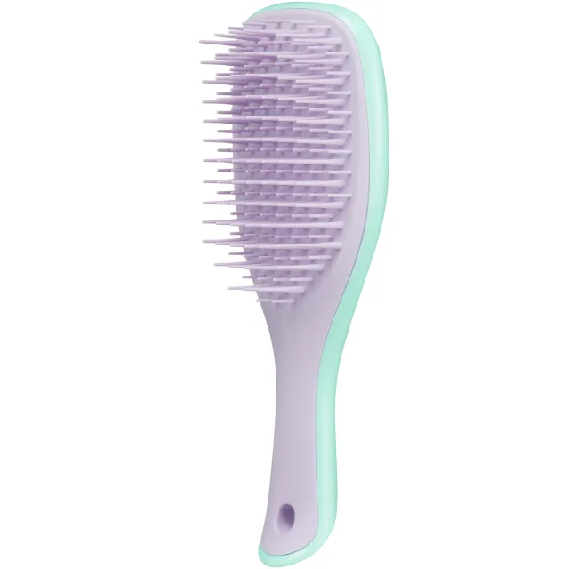 Tangle Teezer The Wet Detangler Mini