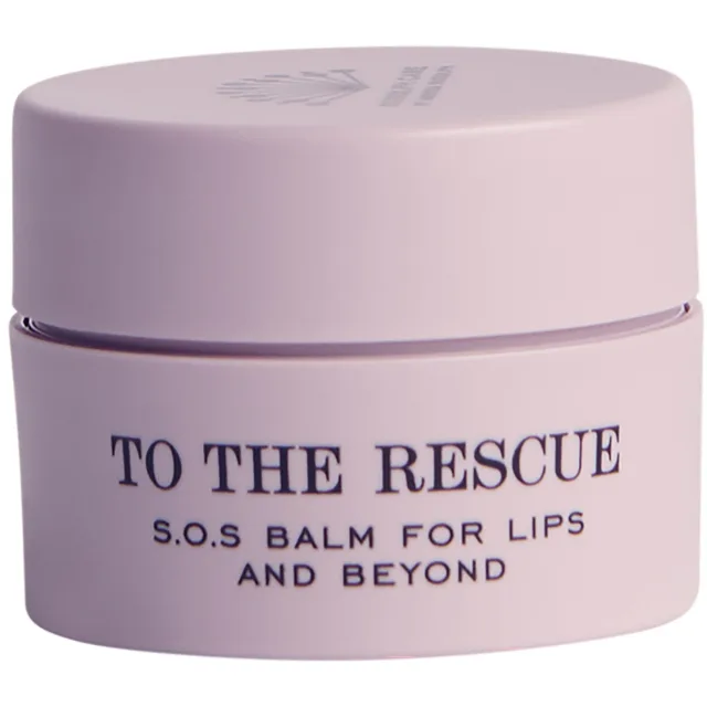 Rudolph Care To The Rescue