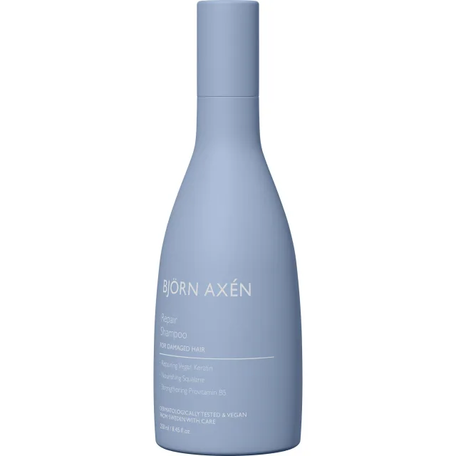 Björn Axén Repair Shampoo