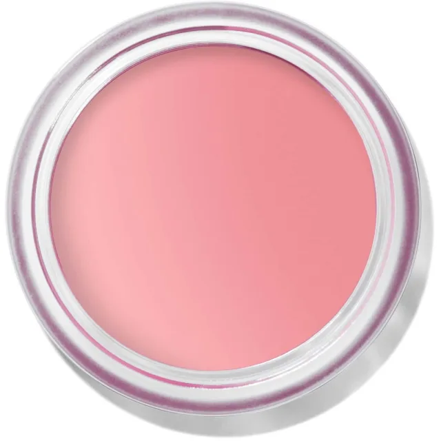 Bobbi Brown Pot Rouge Velvet Matte Petal Pink