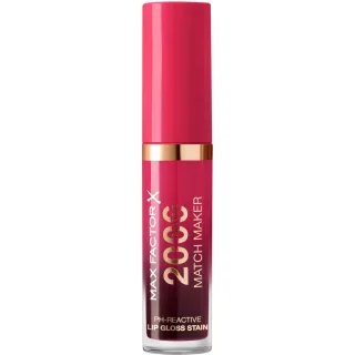 Max Factor 2000 Calorie Lip Gloss Stain