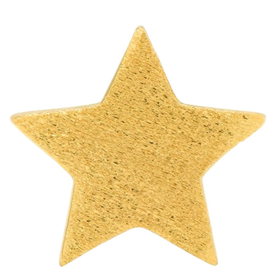 LULU Copenhagen Star Earring Gold 1 st