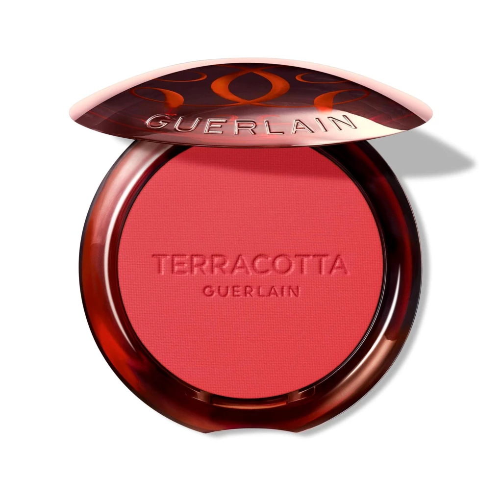 Terracotta Blush Powder 06