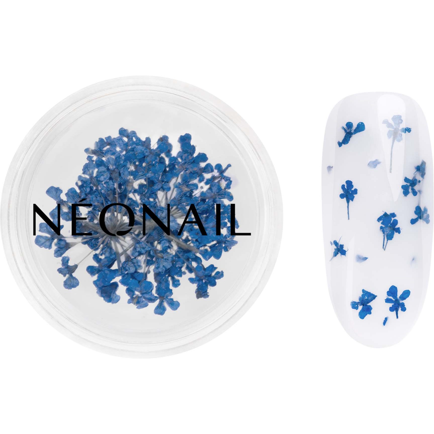 NEONAIL Dried flowers Navy