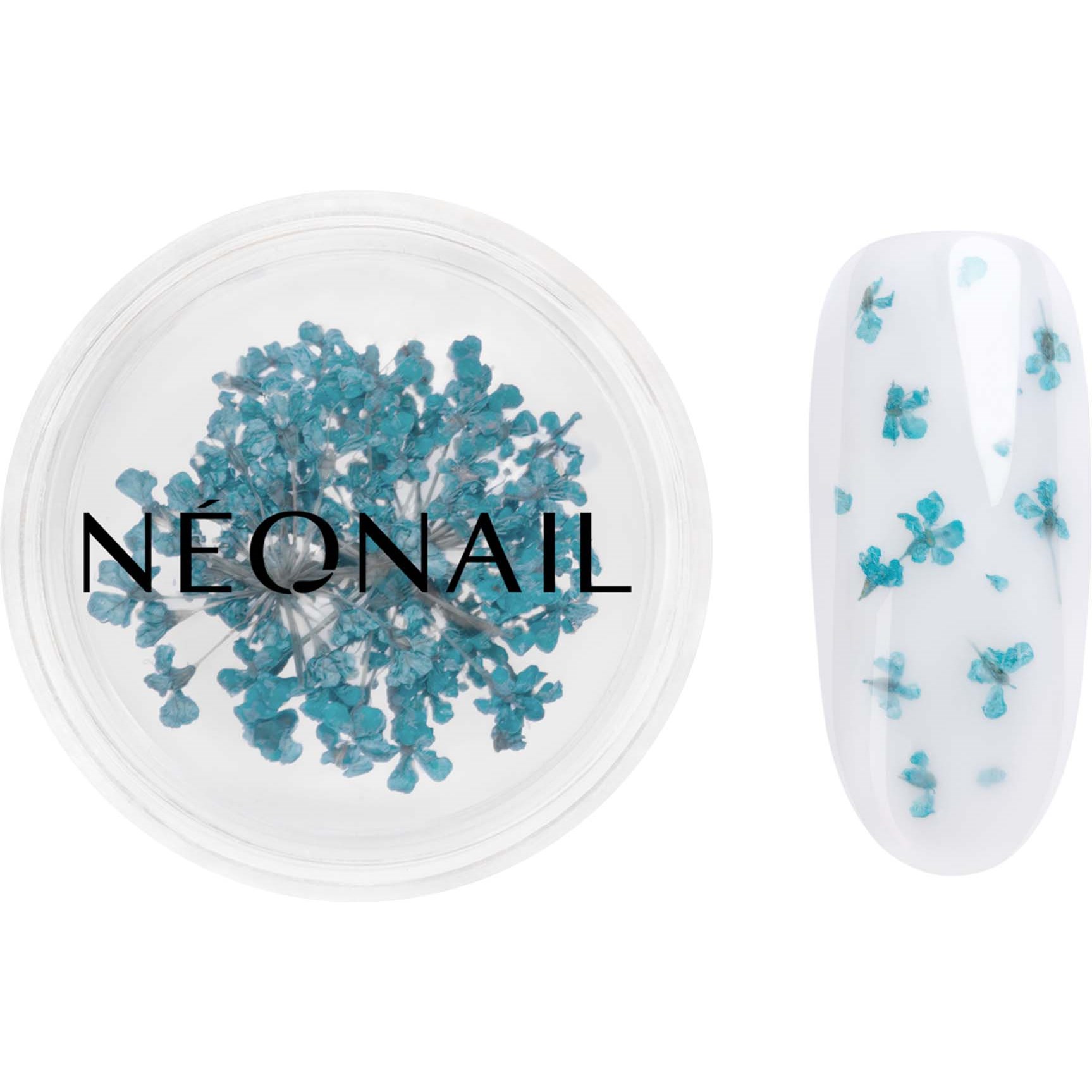 NEONAIL Dried flowers Turquoise