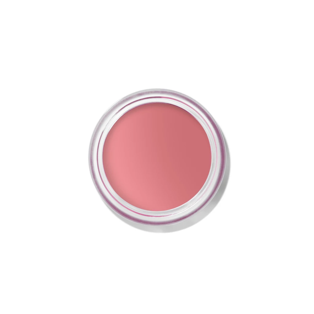 Pot Rouge Velvet Matte 1 Tea Rose
