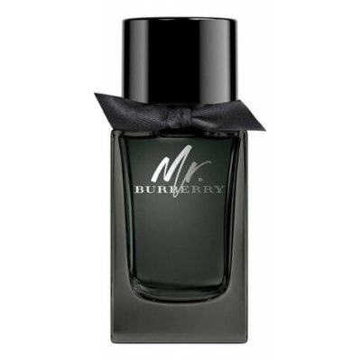 Burberry Mr. Burberry edp 100ml