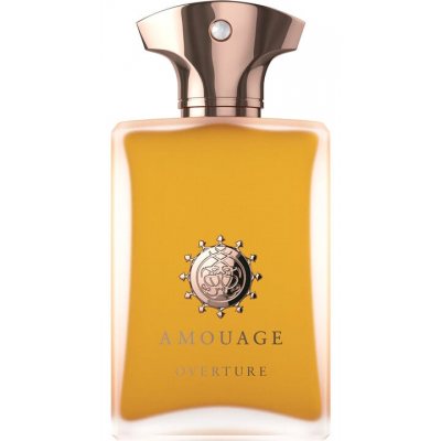 Amouage Overture Man edp 100ml (Outlet / Demo)