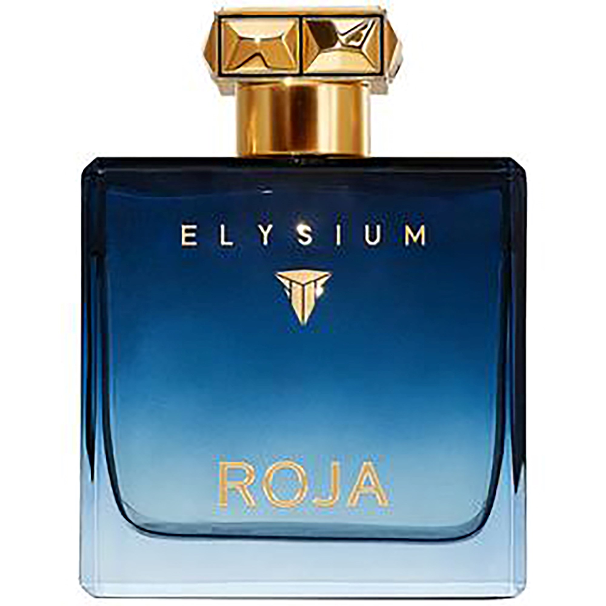 ROJA Elysium Pour Homme Eau de Parfum 100 ml