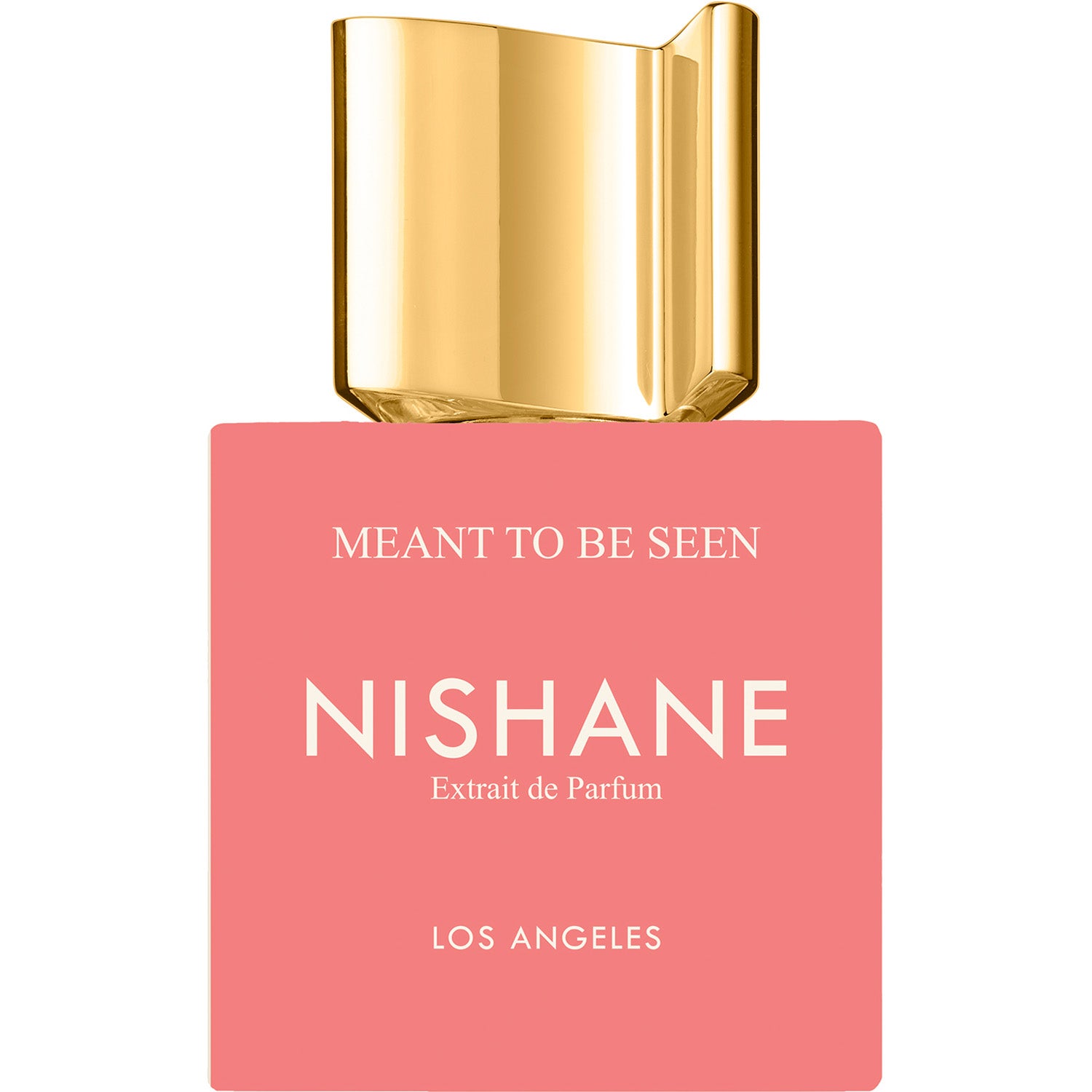 NISHANE Meant To Be Seen Eau de Parfum - 100 ml