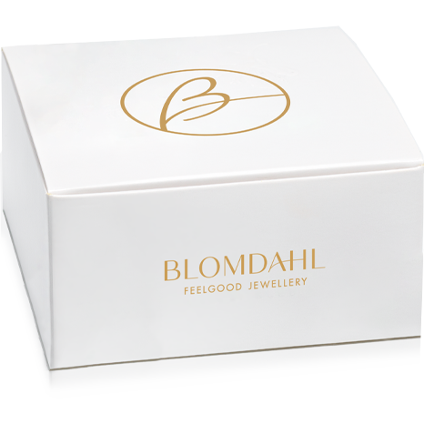 Blomdahl ewellery Gift Box