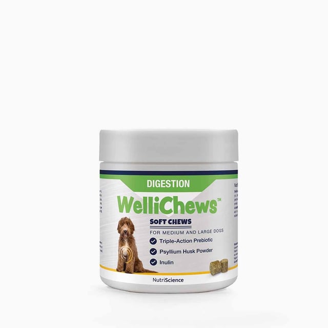 Swedencare Wellichews Digestion Medium/Large 60 st