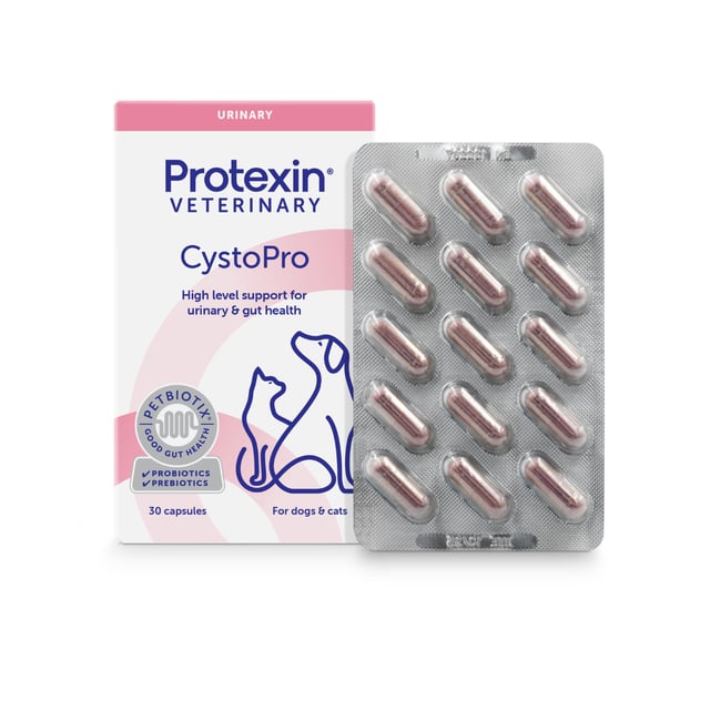 Protexin  CystoPro Dogs 30 kapslar