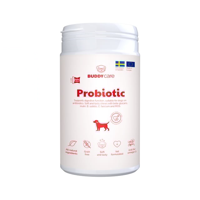Buddy Care Probiotic 150g