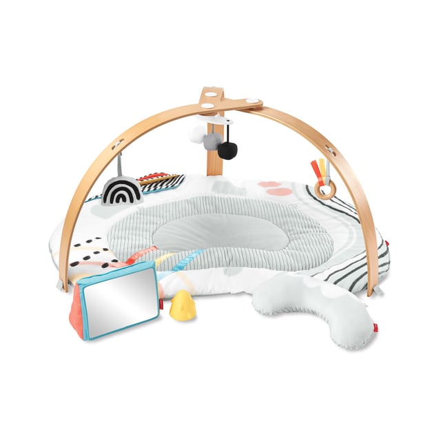 Skip Hop Discoverosity Babygym