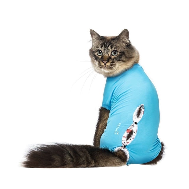 VetHelp Recovery Suit ljusblå /stl 2