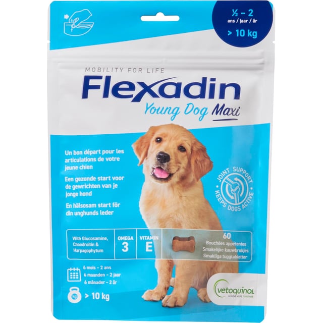 Flexadin Young Dog Maxi 60 st