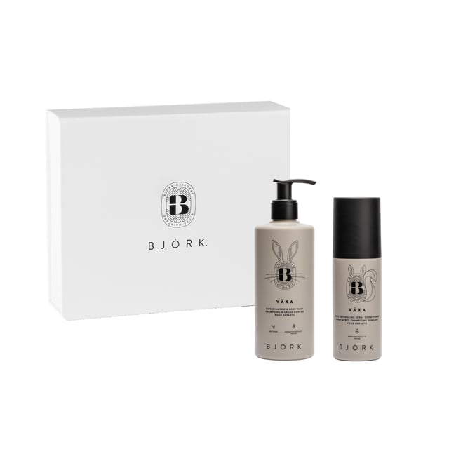 Björk Växa Kids Box Duo